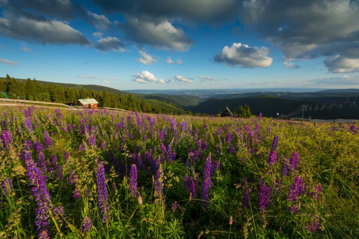 Krušné hory – Teambuilding v krajině přírodních krás a industriální historie