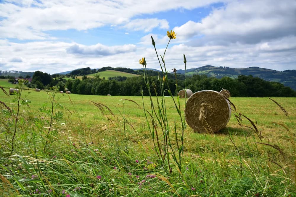 Teambuilding na míru – Bílé Karpaty jako vaše další destinace