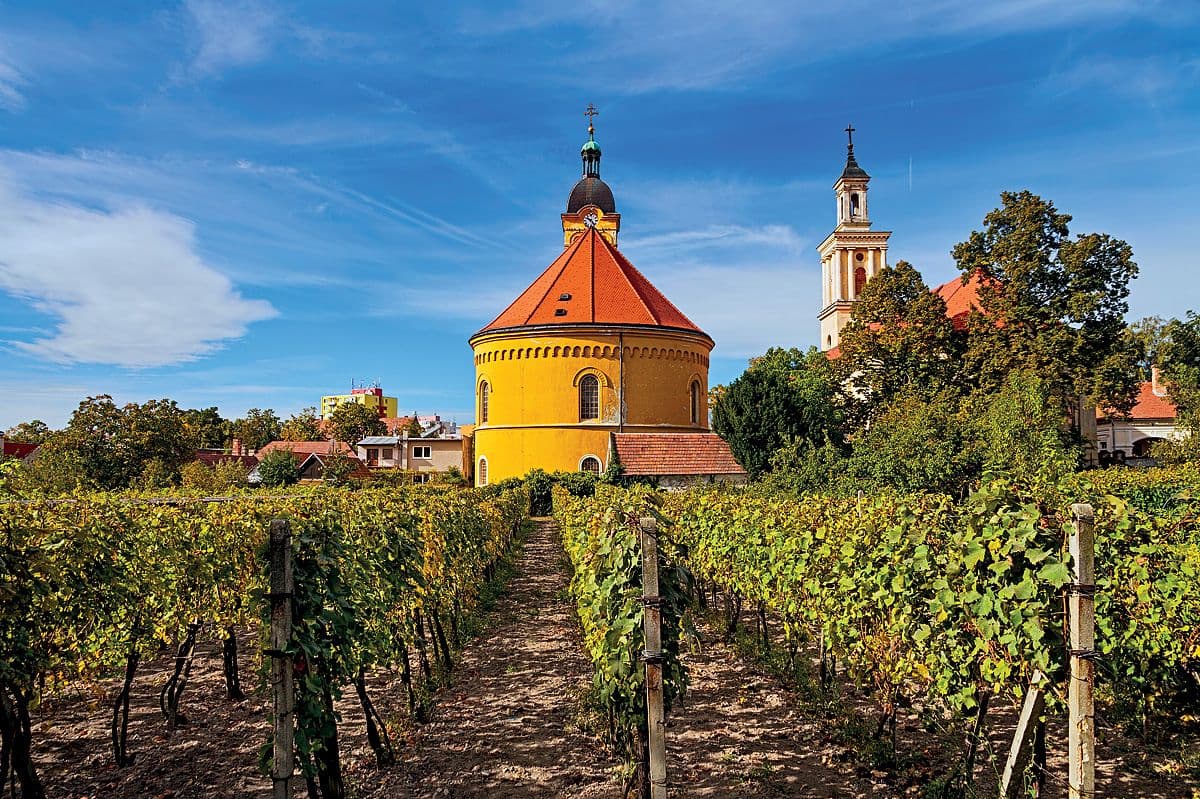 A Tailored Experience – Team-Building in the Danubian Lowland
