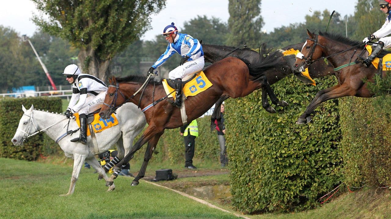 Spoznajte Pardubice – Teambuilding s nádychom histórie a dobrodružstva
